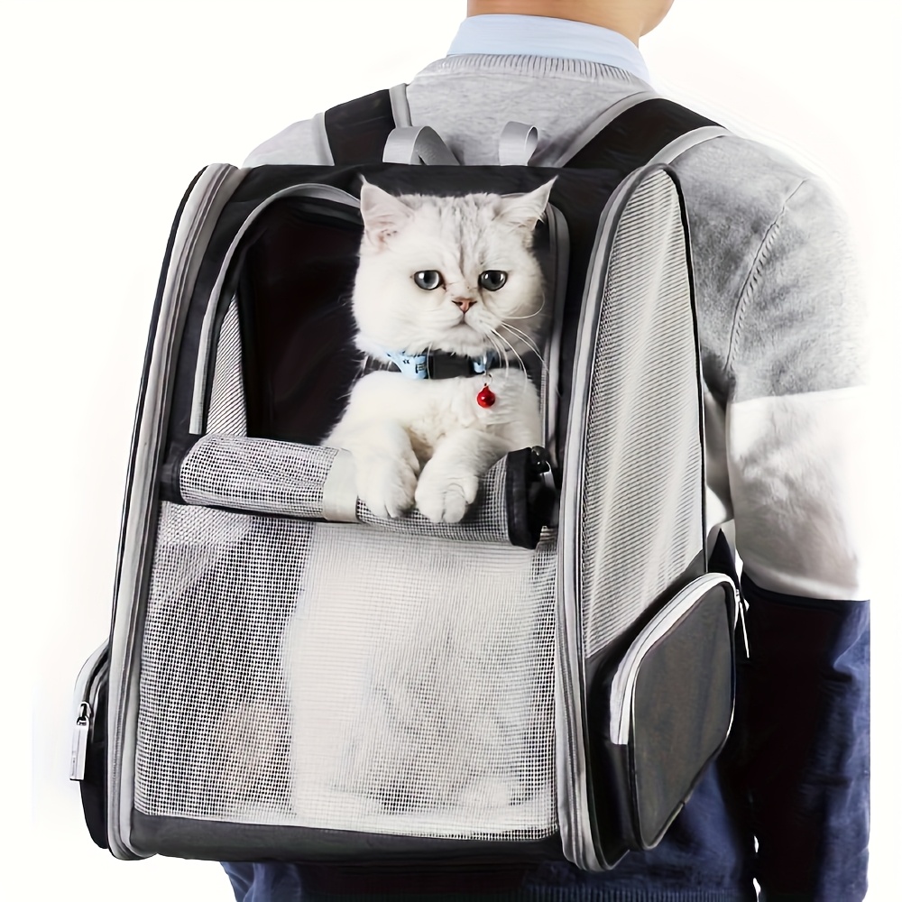 حقيبة ظهر قابلة للطي ومهواة لل - مراجعة Foldable Backpack Small وسعره