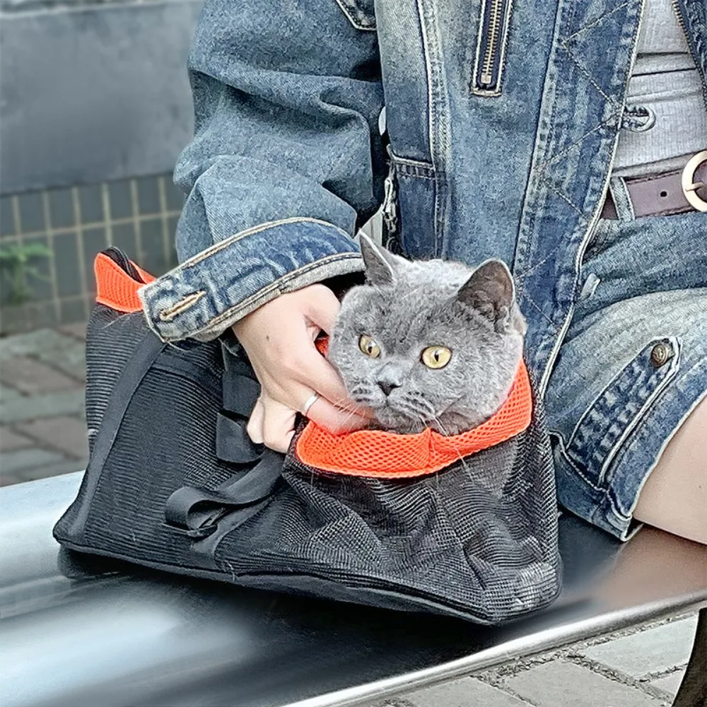 حقيبة ظهر للكلاب، حقيبة محمولة - مراجعة Foldable Backpack Small وسعره