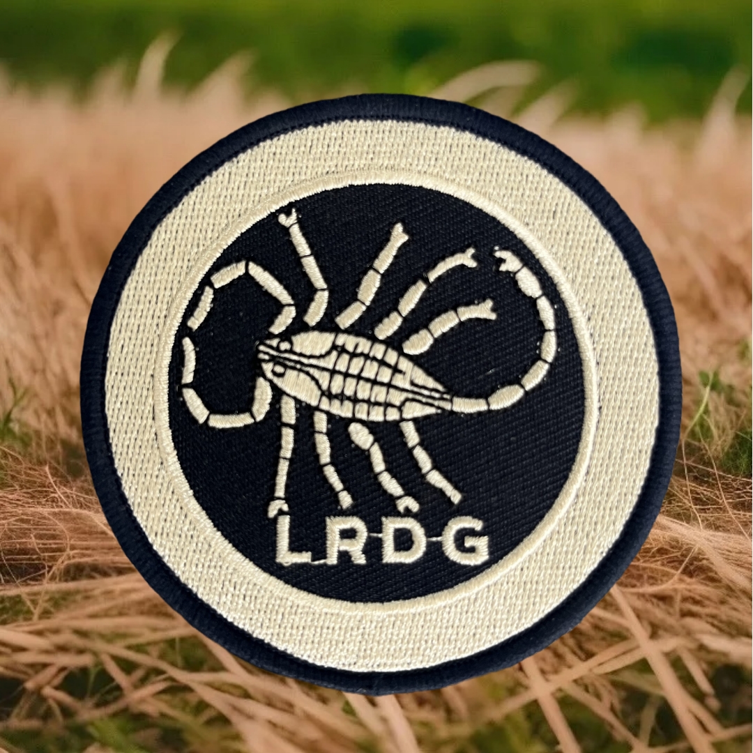 مجموعة الصحراء طويلة المدى LRD - مراجعة Urban Backpack Tactical وسعره