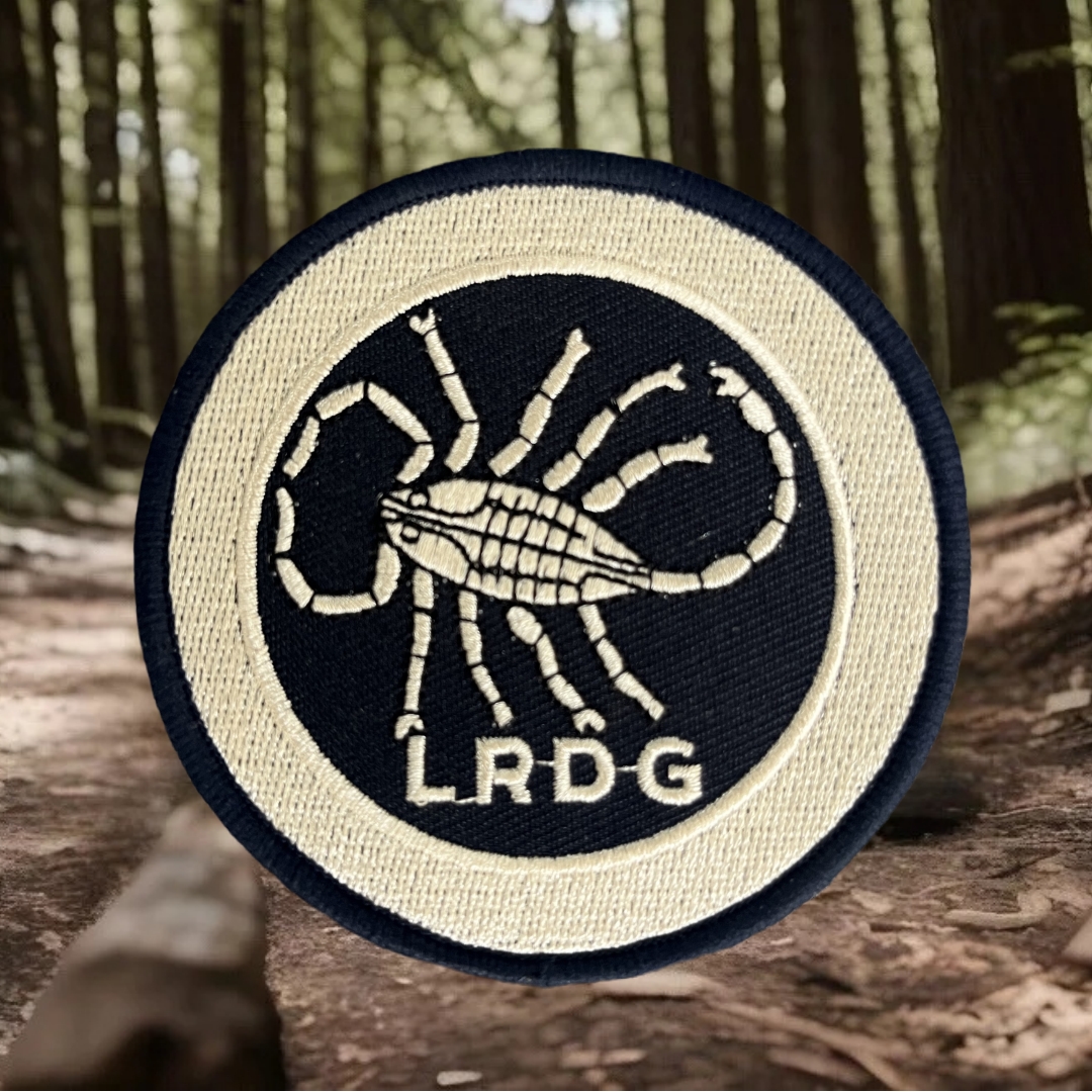 مجموعة الصحراء طويلة المدى LRD - مراجعة Urban Backpack Tactical وسعره