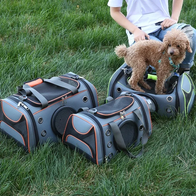 حقيبة حمل الحيوانات الأليفة ال - مراجعة Foldable Backpack Small وسعره